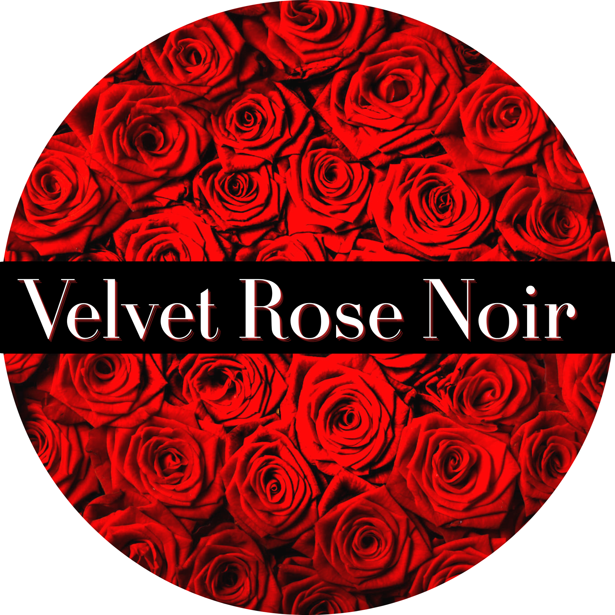 Velvet Rose Noir 🌹